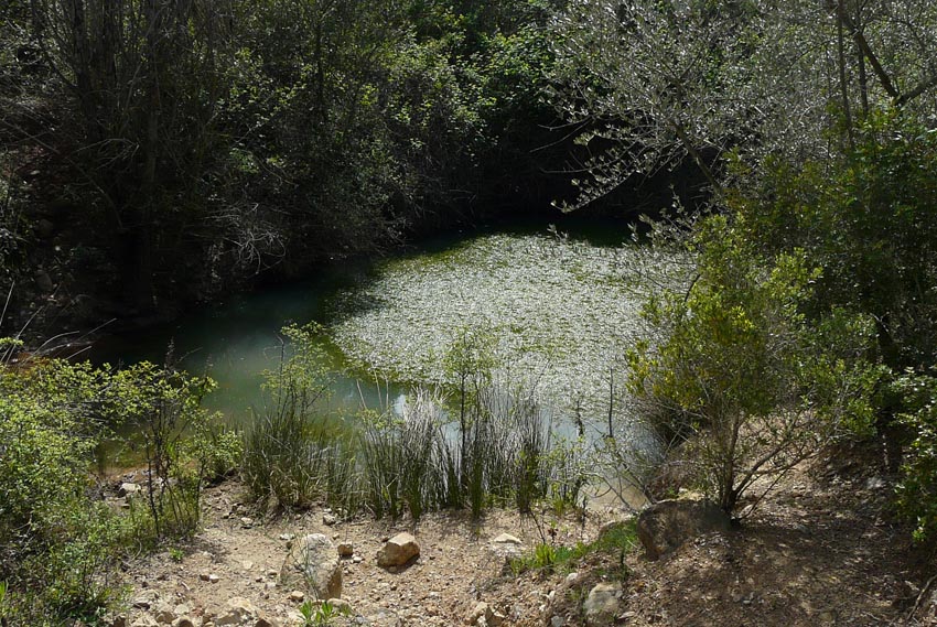 In un podere vicino Massa Marittima (GR)